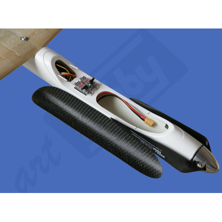 Volans-ECL 2.7M (F5J) art hobby