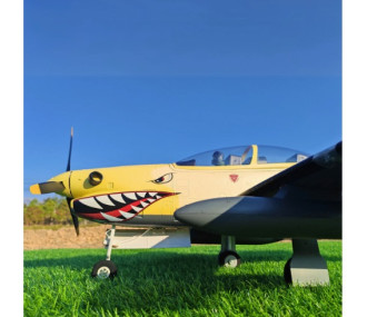 Avion Dynam EMB-312 Tucano 1250mm PNP 2