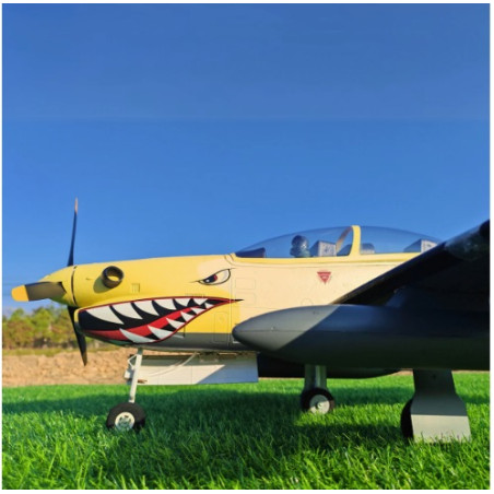 Avion Dynam EMB-312 Tucano 1250mm PNP