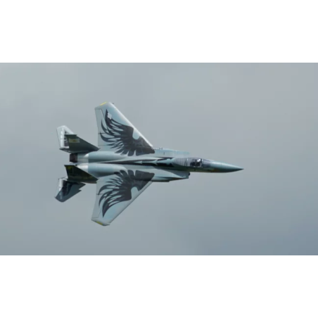 XFLY 710mm F-15 EDF TWIN 40mm JET Gris