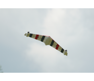 XFLY EAGLE 40mm EDF FLYING WING avec gyro - vert  2