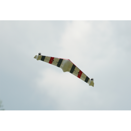 XFLY EAGLE 40mm EDF FLYING WING avec gyro - vert 