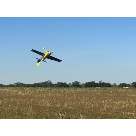 Avion Voltige Pilot RC - EDGE 540 (1.0m), Jaune, Bleu, gris - FLASHRC