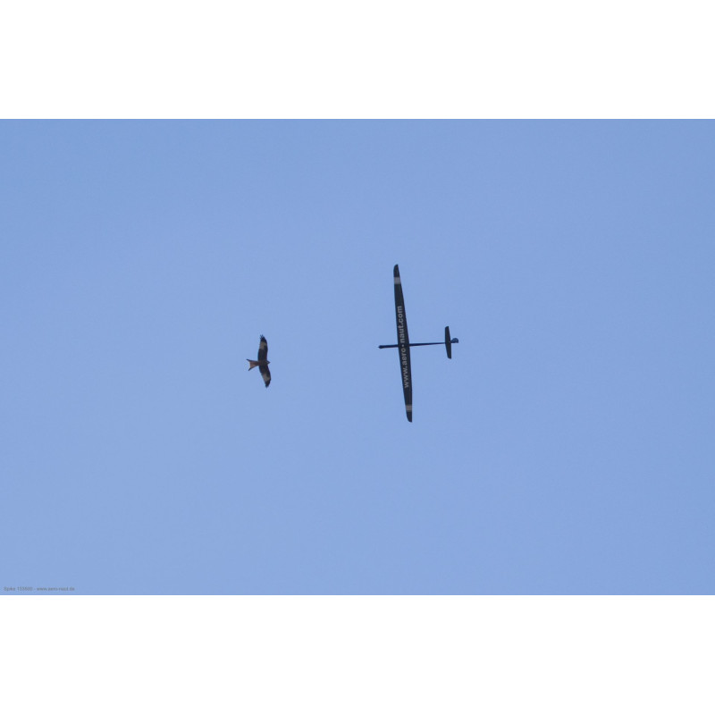 Avion Spike Aeronaut