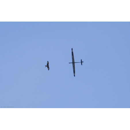 Avion Spike Aeronaut