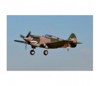 Warbirds RC - FMS P-40B Flying Tiger PNP Avión aprox.0.98m - FLASH RC