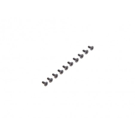Ricambi per auto RC - LOSI - Viti FHC M2.5 x 5mm (10) - FLASH RC