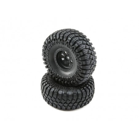 RC car parts - LOSI - Maxxis Creepy Crawler LT tires - FLASH RC