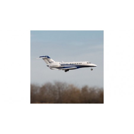 E-flite Jet UMX Citation Longitude Twin 30mm EDF Basic AS3X / Safe Select ca. 0.63m - FLASH RC