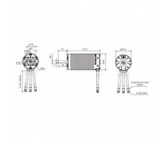 Combo - Hobbywing Combo brushless EZrun Max5 200A + motore 56113SL 800KV - FLASH RC 2