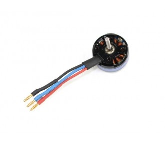 Motoren und Zubehör Motoren für Bausätze - Motor BM2804A-KV1900 Dynam - FLASH RC
