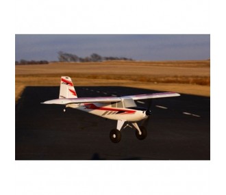 Avion E-flite NIGHT Timber X PNP env.1.20m - FLASH RC 2
