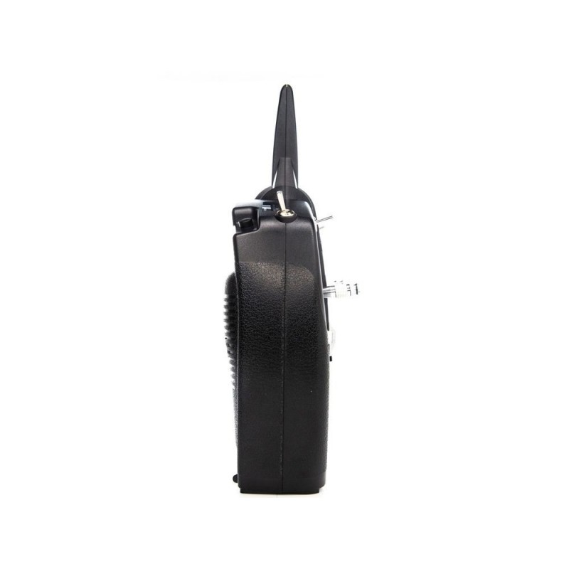 Radiocommandes - Radio DXS Spektrum DSMX 2.4G - émetteur seul - FLASH RC