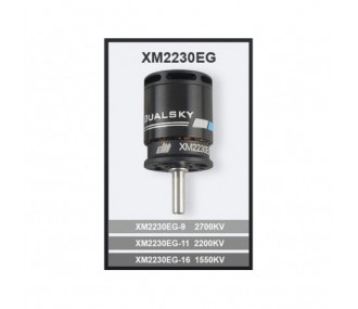 Outrunner - Dualsky XM2230EG-9 Motor (42g, 2700kV, 296W) - FLASH RC