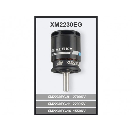 Outrunner - Motore Dualsky XM2230EG-9 (42g, 2700kV, 296W) - FLASH RC
