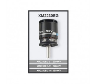 Outrunner - Moteur Dualsky XM2230EG-11 (42g, 2200kV, 252W) - FLASH RC