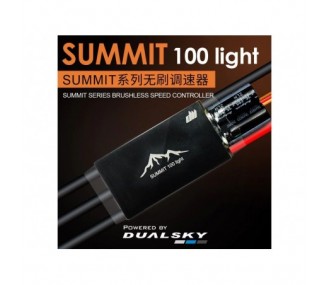 Brushless - Controleur Brushless 100A Light - Summit Dualsky - FLASH RC 2
