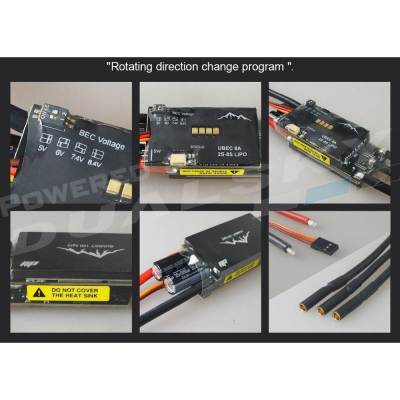 Brushless - 100A Light Brushless Controller - Summit Dualsky - FLASH RC