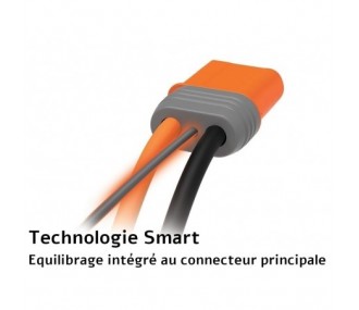 Batterie di propulsione per aerei RC - Smart Lipo 6S 22.2V 4000mAh 50C IC5 Spektrum batteria - FLASH RC 2