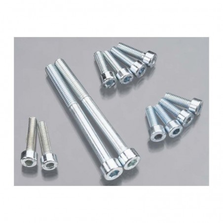 DLE thermal engine parts - DLE 20 screw set - FLASH RC