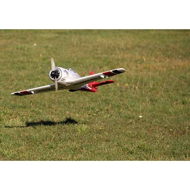 Avión acrobático RC - Multiplex Racewulf RR aprox.95cm - FLASH RC
