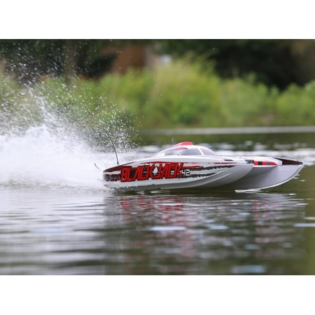 RC Powerboats - Blackjack 42 BL Red/White RTR PROBOAT - FLASH RC