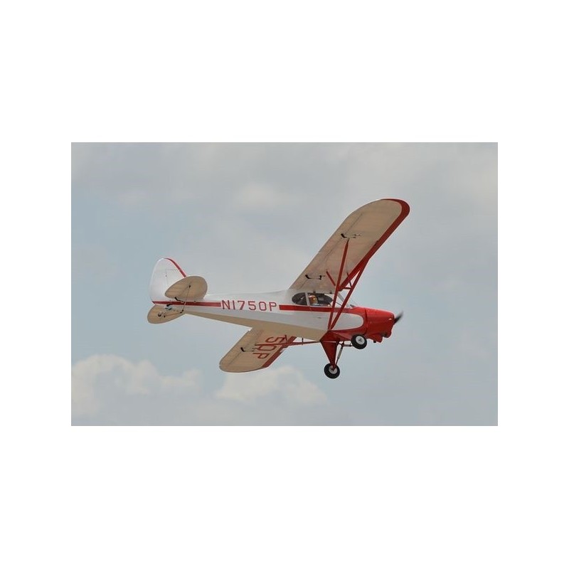 Avion Phoenix Model Super Cub PA-18 30cc GP/EP ARF 2.72m - FLASH RC