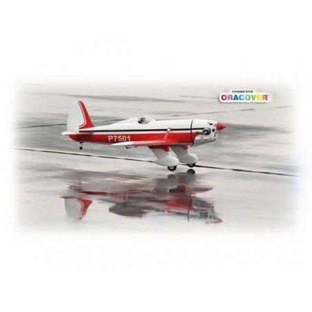 RC-Kunstflugzeuge - Flugzeug Phoenix Model Ryan STA GP/EP ARF 1.80m - FLASH RC