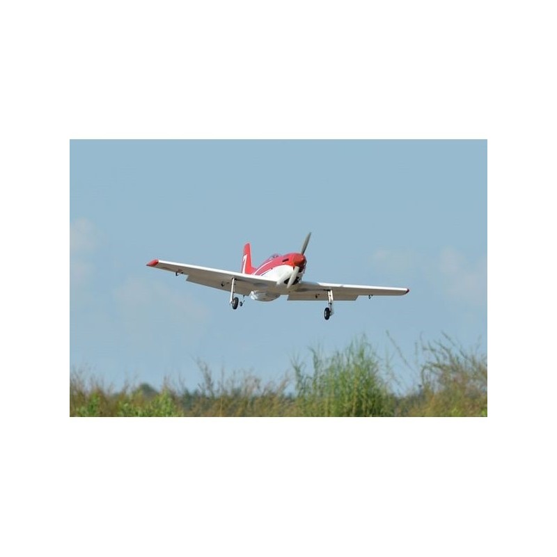 Avion Phoenix Model Strega 30cc GP/EP ARF 1.75m - FLASH RC