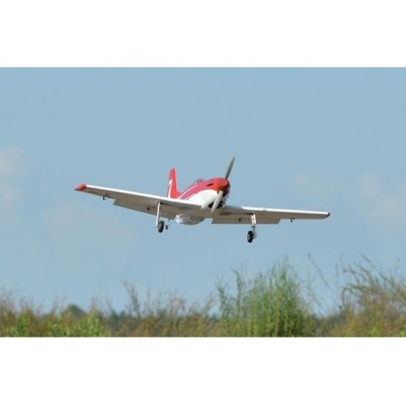 RC Aerobatic Aircraft - Phoenix Model Strega 30cc GP/EP ARF 1.75m - FLASH RC