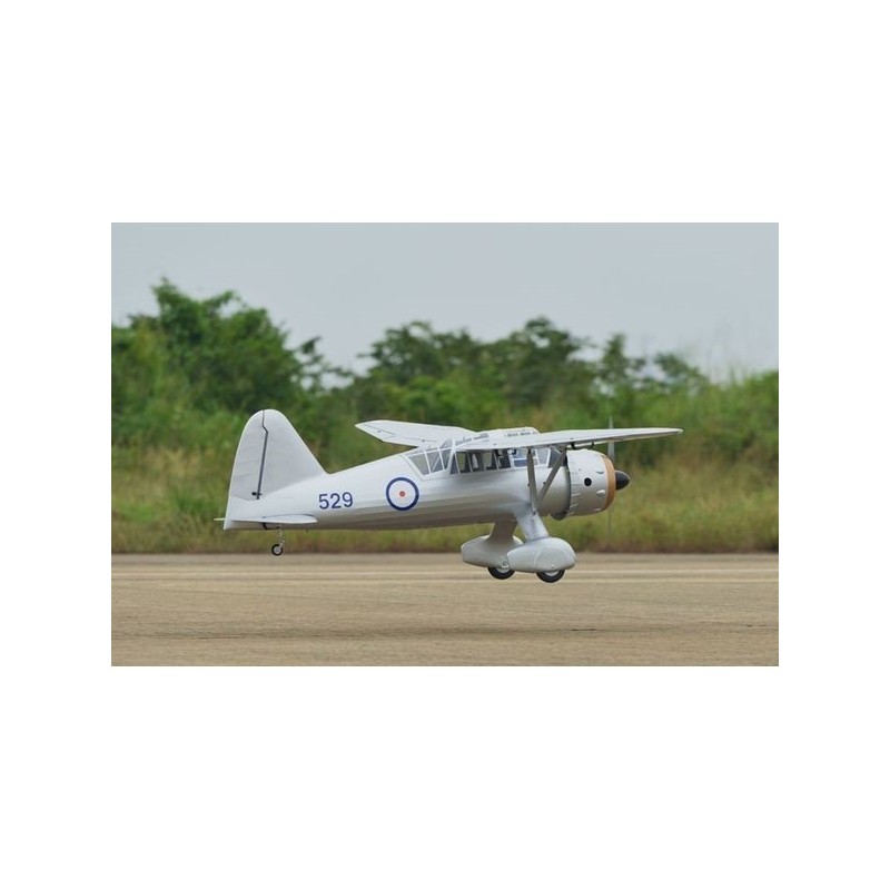 RC-Flugzeugmodelle - Flugzeug Phoenix Model Westland Lysander GP/EP ARF 3.20m - RC FLASH