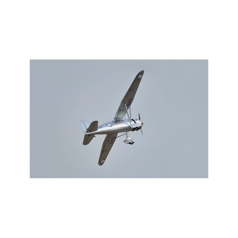RC-Flugzeugmodelle - Flugzeug Phoenix Model Westland Lysander GP/EP ARF 3.20m - RC FLASH