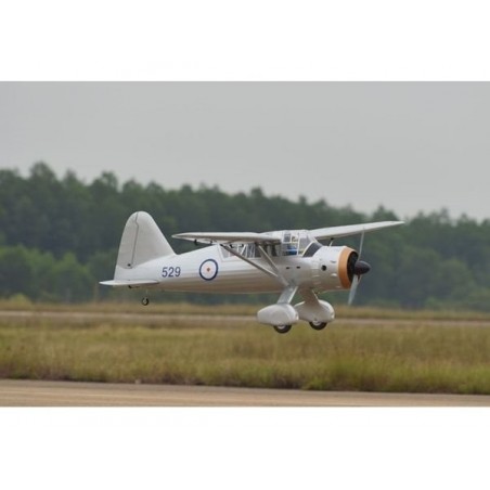 Avion Phoenix Model Westland Lysander GP/EP ARF 3.20m - FLASH RC