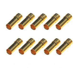 Toma ORO 2/2.3/3/3.5/4/5/5.5/6/8 - Toma ORO 3.5mm hembra (10 uds.) Beez2B - FLASH RC