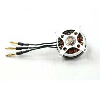 Indoor - Moteur Dualsky Eco 2303C V2 (19g, 1800kv, 80W) - FLASH RC 2