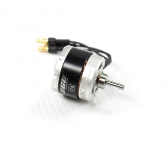 Outrunner - Dualsky Eco 2308C V2 Motor (47g, 980kv, 204W) - FLASH RC