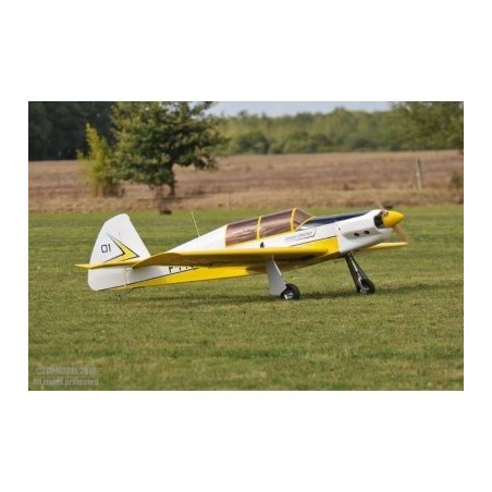 DALOTEL DM-165 VIKING 2,80m ARF - FLASH RC
