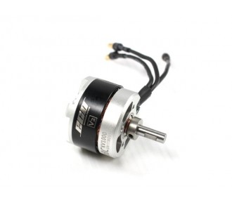 Outrunner - Moteur Dualsky Eco 2808C V2 (75g, 1000kv, 300W) - FLASH RC