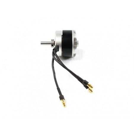 Outrunner - Motor Dualsky Eco 2808C V2 (75g, 1000kv, 300W) - FLASH RC
