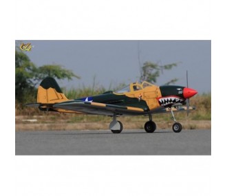 Warbirds RC - VQ Model P-39 Airacobra 1.58m sumer camo - FLASH RC 2
