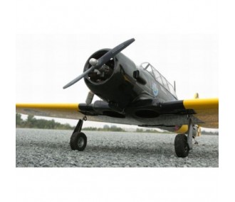 Warbirds RC - VQ Model AT-6 Texan 1.54m black version - FLASH RC 2