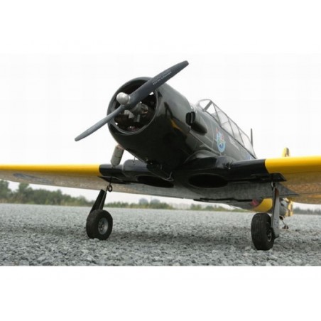 Warbirds RC - VQ Model AT-6 Texan 1.54m black version - FLASH RC