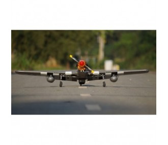 Warbirds RC - Modello VQ P-51B (Berlin Express) - FLASH RC 2