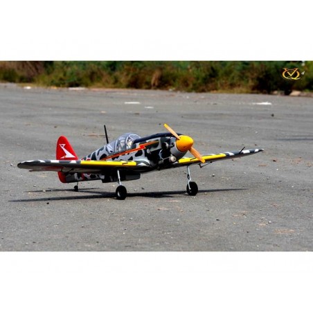 Warbirds RC - Modello VQ Kawasaki HIEN 1.57m - FLASH RC