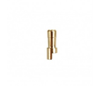 Prise OR 2/2.3/3/3.5/4/5/5.5/6/8 - Prise OR PK 5.5mm male (1 pc) - AMASS - FLASH RC