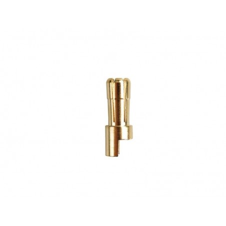 Spina ORO 2/2.3/3/3.5/4/5/5.5/6/8 - ORO PK 5.5mm maschio (1 pz) - AMASS - FLASH RC