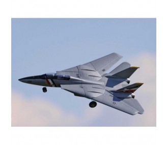 RC Jet - E-flite F-14 Tomcat Twin 40mm EDF BNF Basic AS3X / Safe Select Jet circa 0,76m - RC FLASH 2