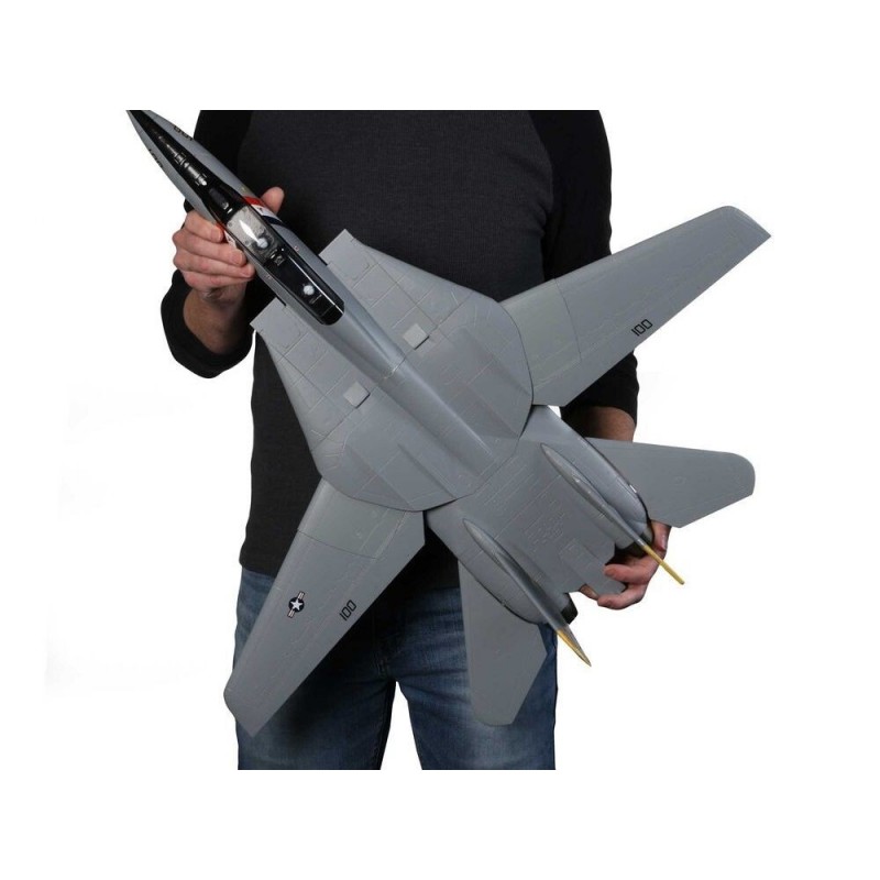 RC Jets - E-flite F-14 Tomcat Twin 40mm EDF BNF Basic AS3X / Safe Select Jet approx.0.76m - RC FLASH