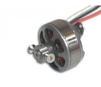 Indoor - XPower XC2805/50 EVP - Indoor Paso variable - FLASH RC