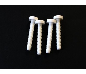 Vis nylon fente intégrée M6x40mm MP JET (4 pcs) - FLASH RC